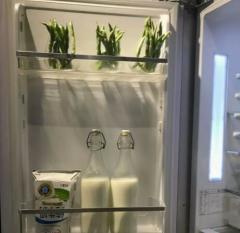 冰箱是不是越小越耗电？